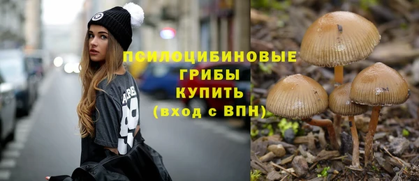 дживик Новозыбков