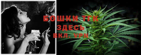 ешки Новокубанск