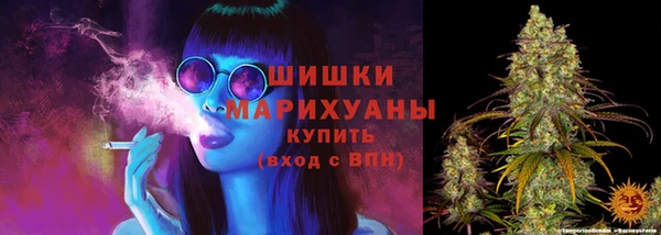 МДПВ Новодвинск