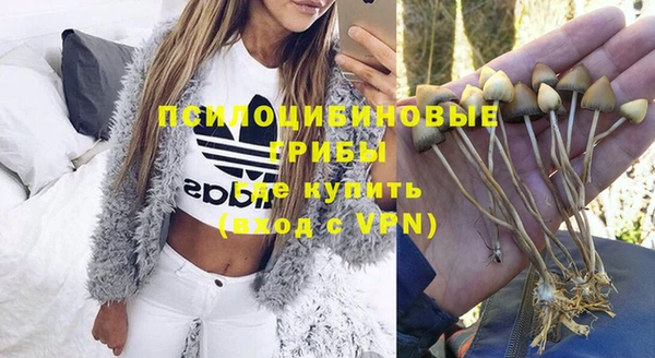 дживик Новозыбков