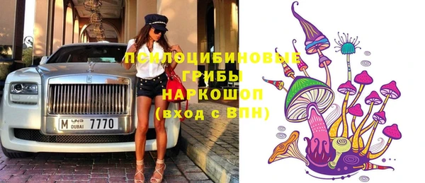 МДПВ Новодвинск