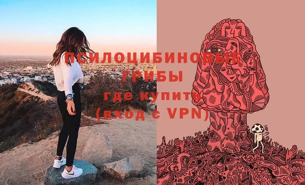 дживик Новозыбков