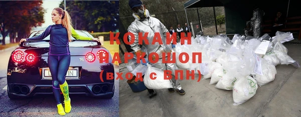 дживик Новозыбков