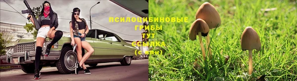 МДПВ Новодвинск