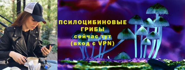 дживик Новозыбков