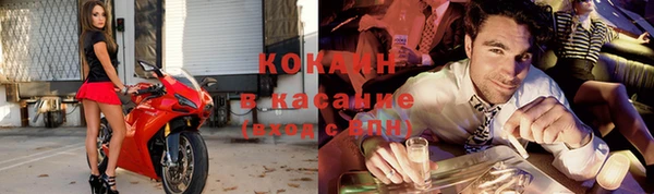 дживик Новозыбков