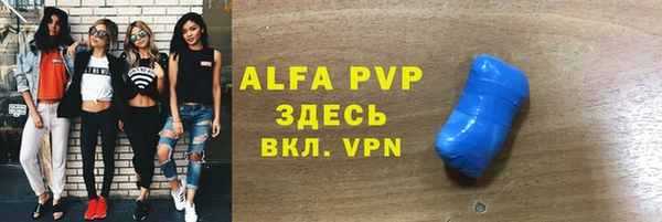 дживик Новозыбков