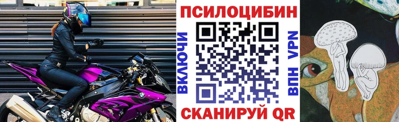 Галлюциногенные грибы Psilocybine cubensis  Фёдоровский 